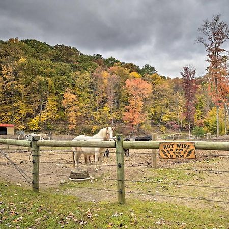 Вилла Bill Pickett Apt On 50-Acre Ranch - 1 Mi To Lake Хантингдон Экстерьер фото