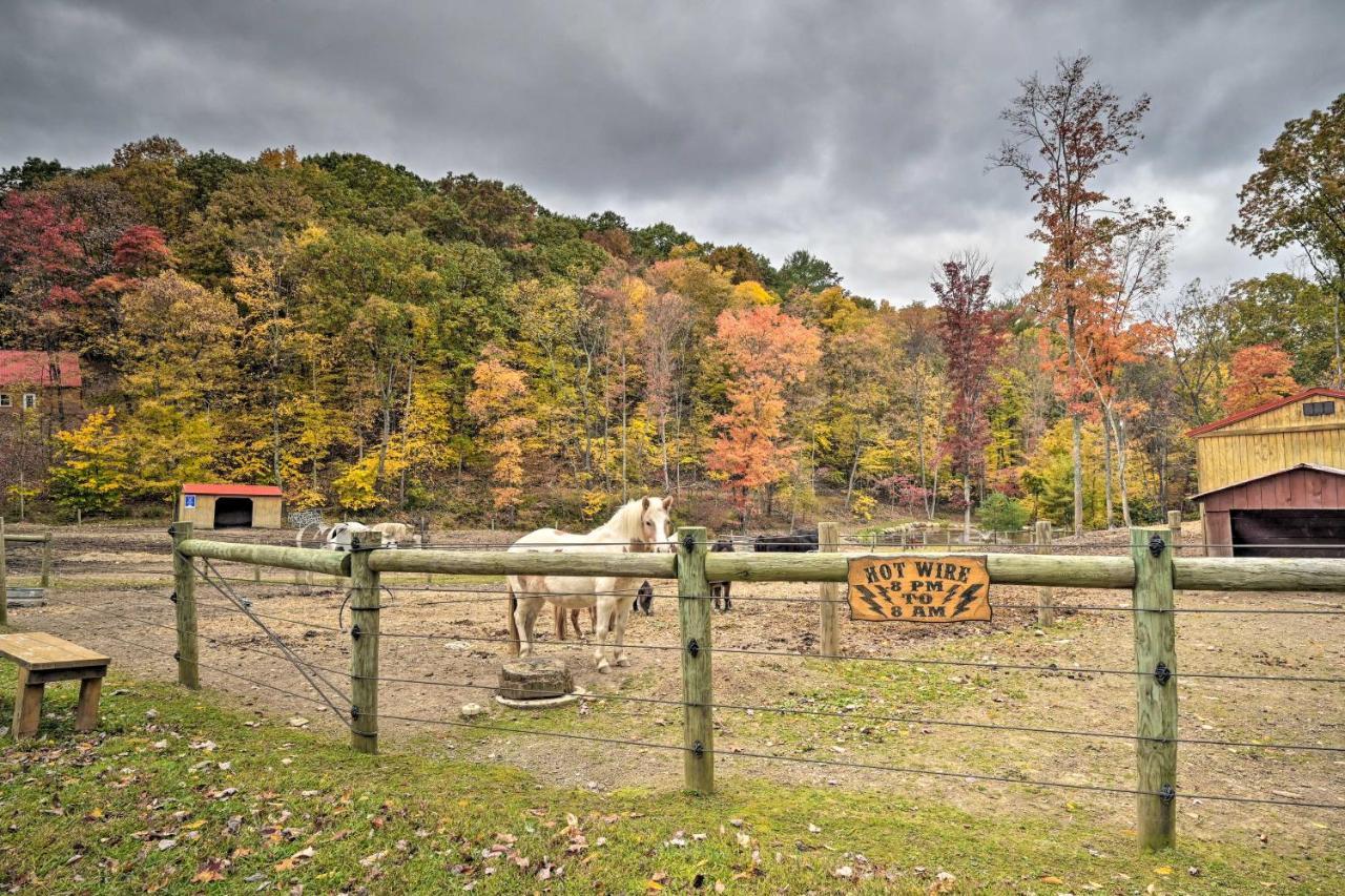 Вилла Bill Pickett Apt On 50-Acre Ranch - 1 Mi To Lake Хантингдон Экстерьер фото