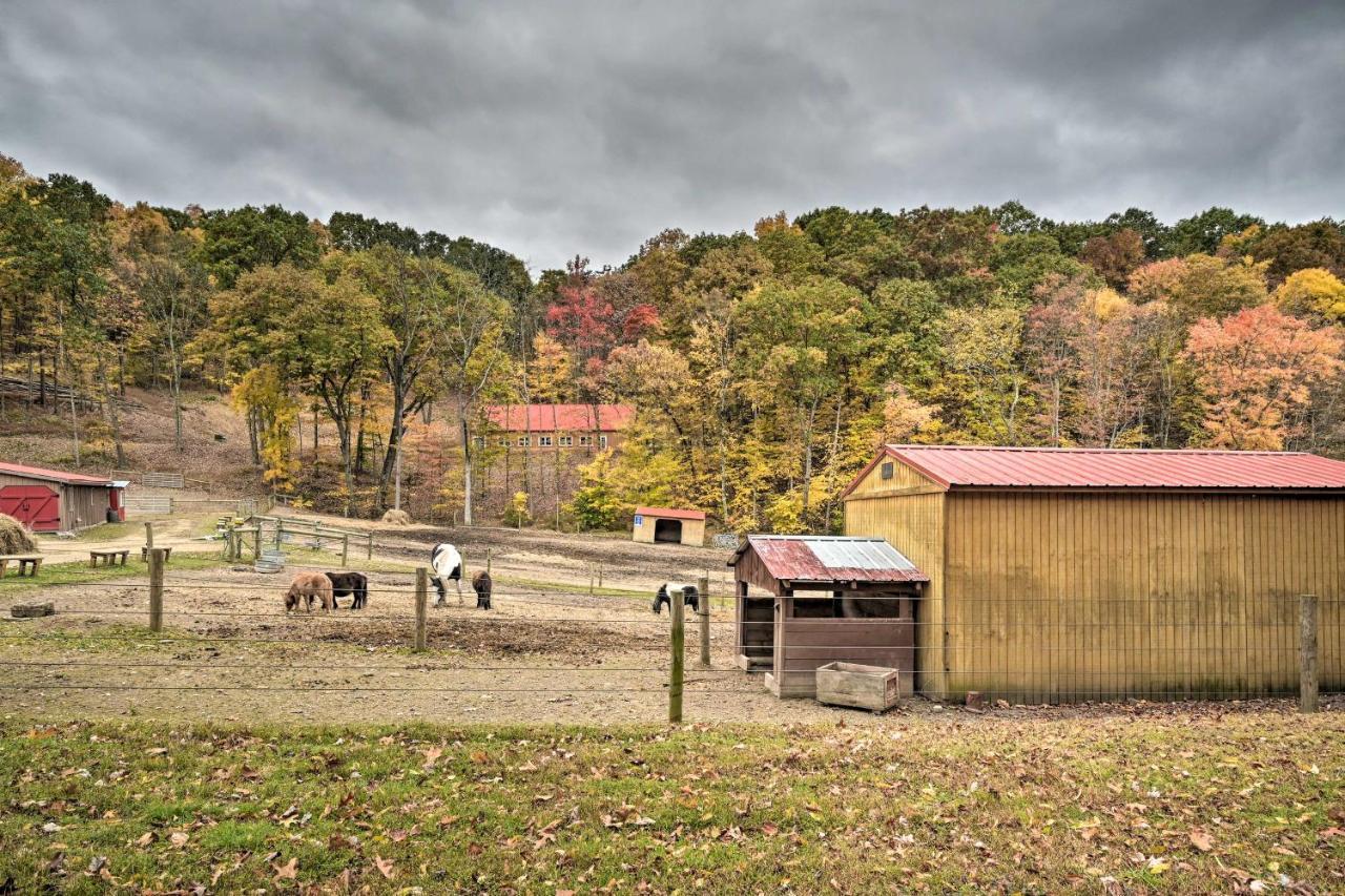 Вилла Bill Pickett Apt On 50-Acre Ranch - 1 Mi To Lake Хантингдон Экстерьер фото